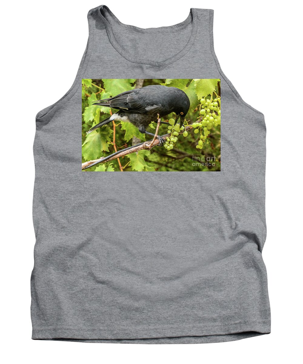 Bird Tank Top featuring the photograph Currawong on a Vine by Werner Padarin