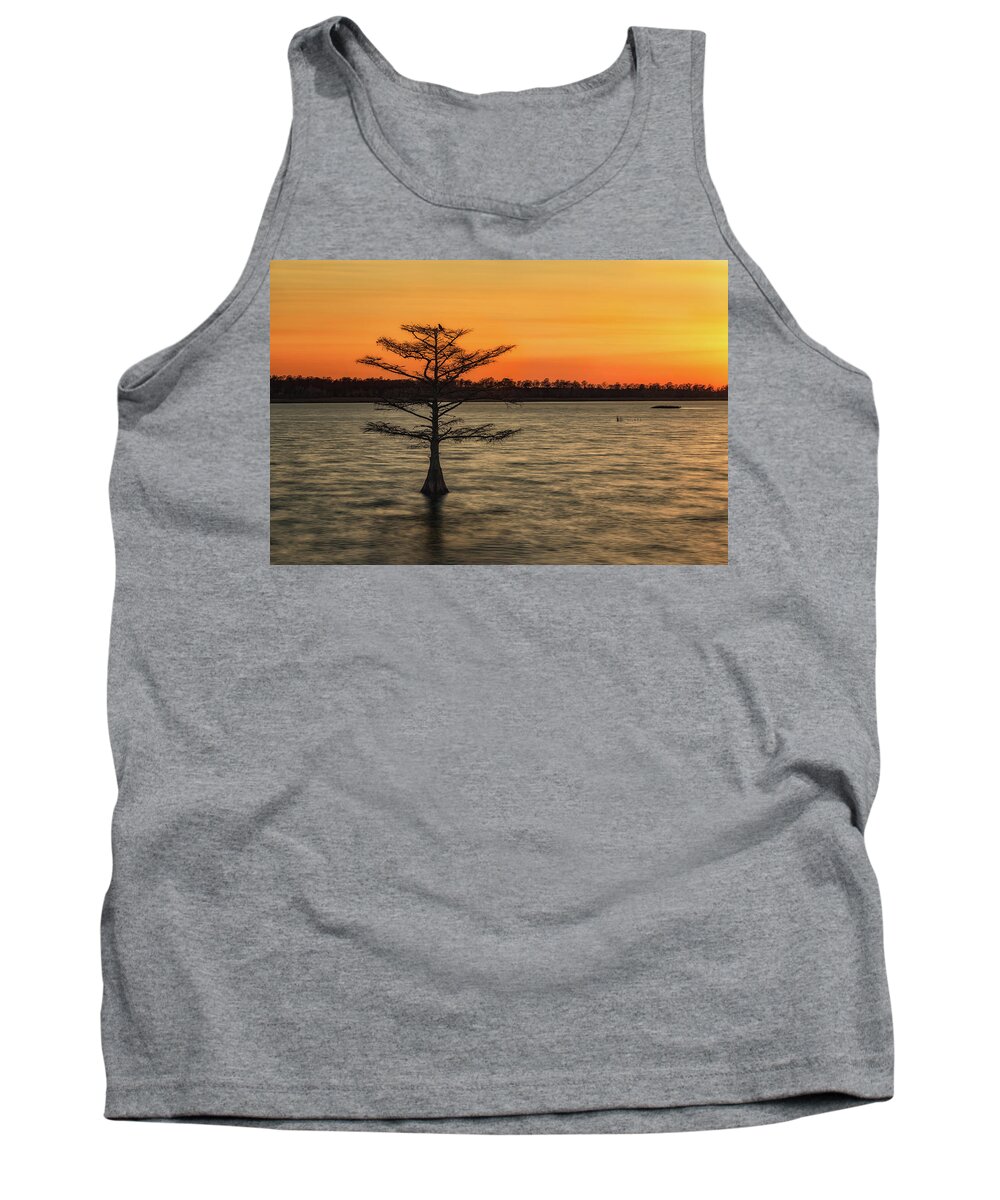 Sunset Tank Top featuring the photograph Cypress Sunset by C Renee Martin