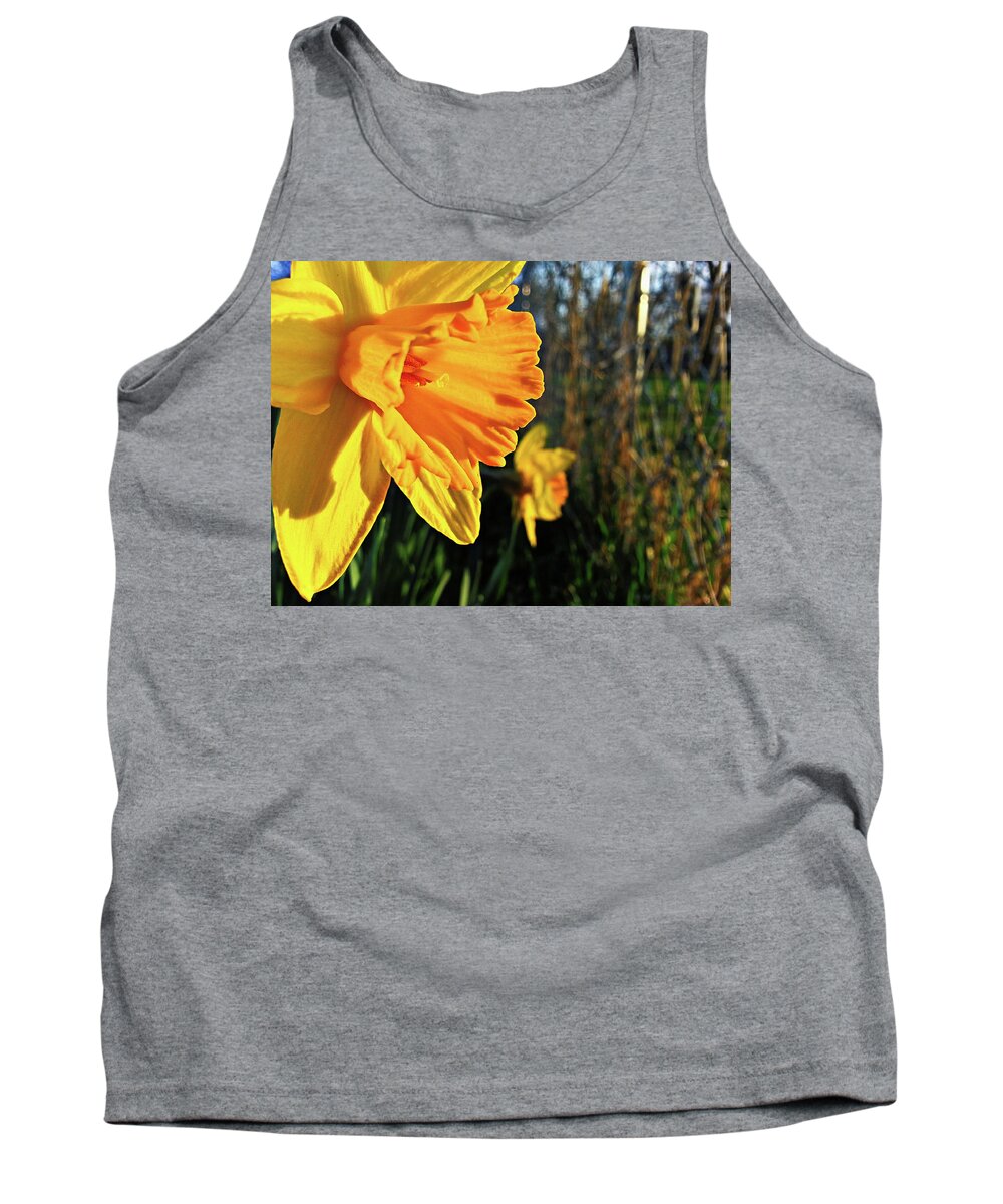 Daffodil Tank Top featuring the photograph Daffodil Evening by Robert Knight