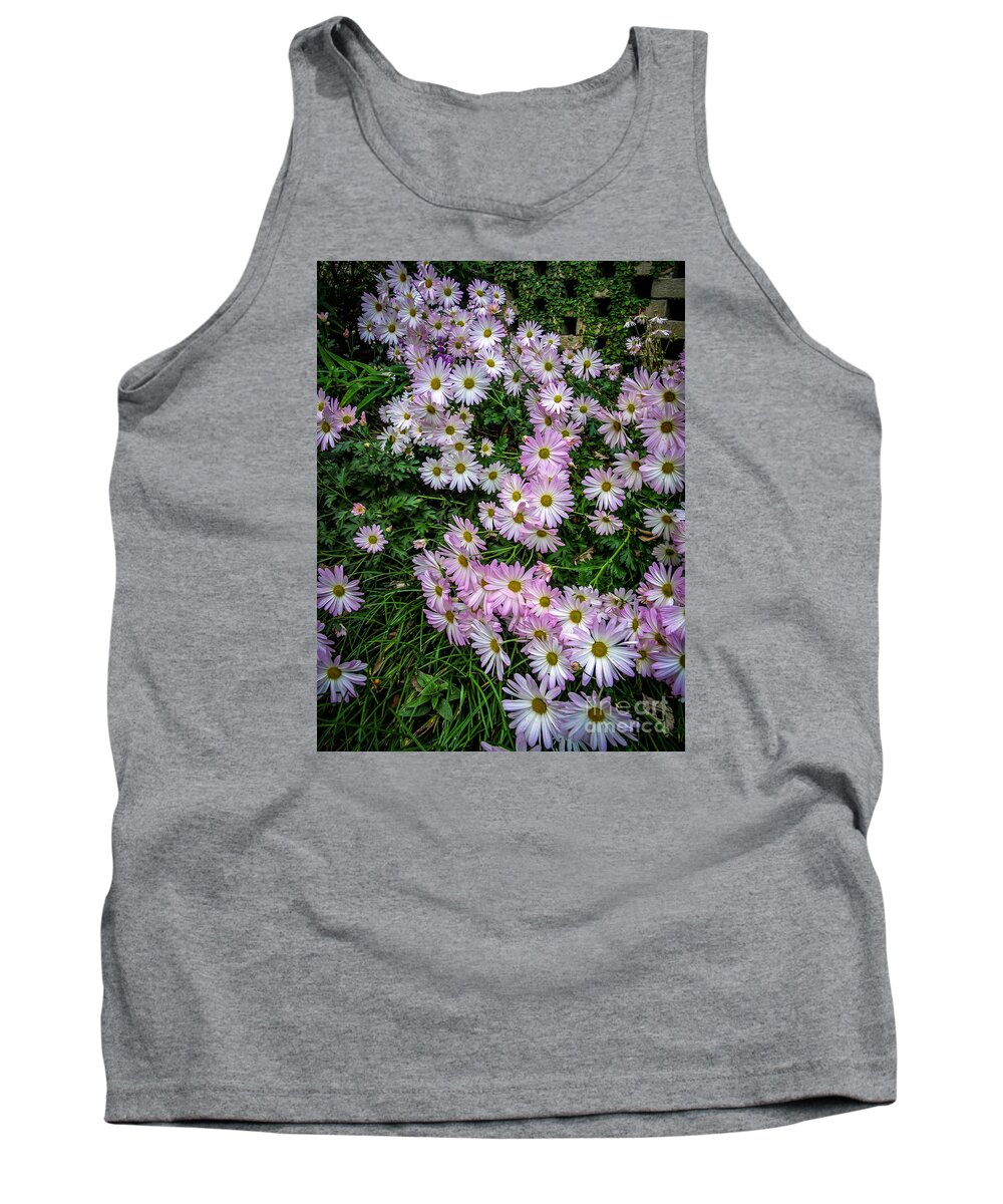 Daisy Tank Top featuring the photograph Daisy Patch by David Smith