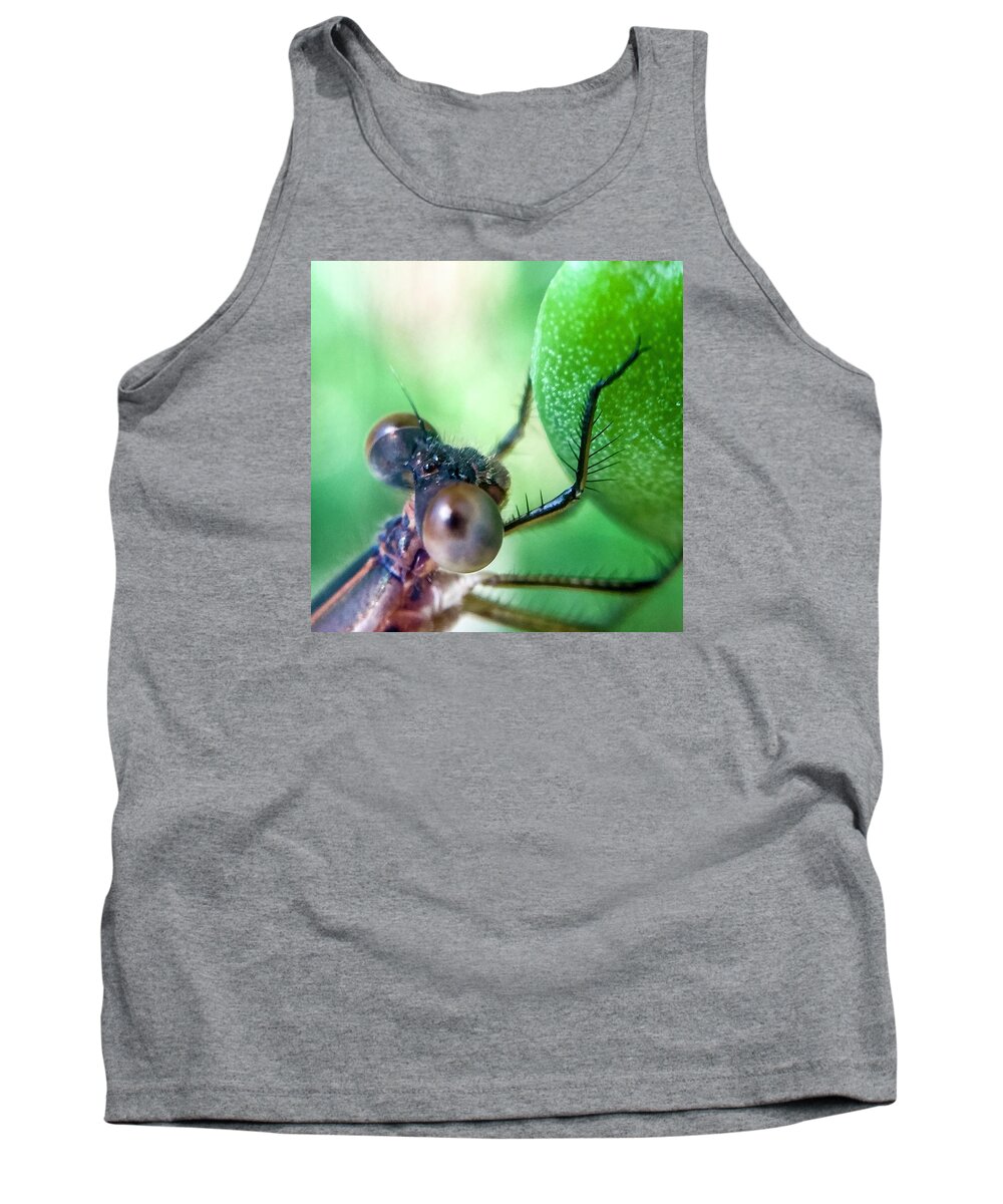 Insect Tank Top featuring the photograph Damsel Fly by Terri Hart-Ellis