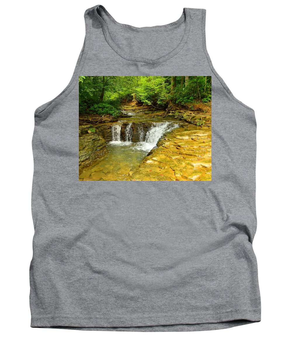 Saunder Springs Tank Top featuring the photograph Saunders Springs, Kentucky by Stacie Siemsen