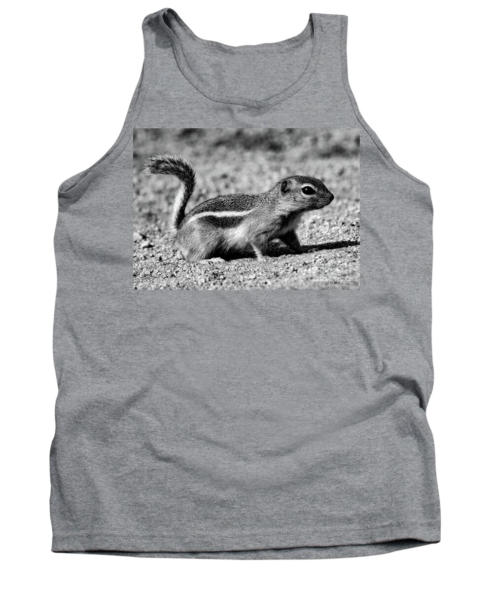 Wildlife Tank Top featuring the photograph Scavenger, Black and White by Adam Morsa