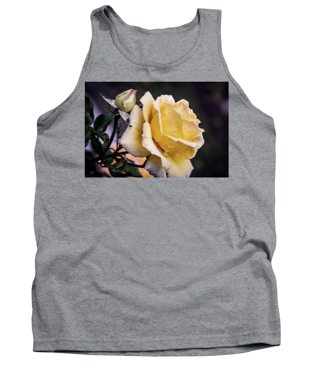 Rose Tank Top featuring the photograph Dew on a rose by Vanessa Thomas