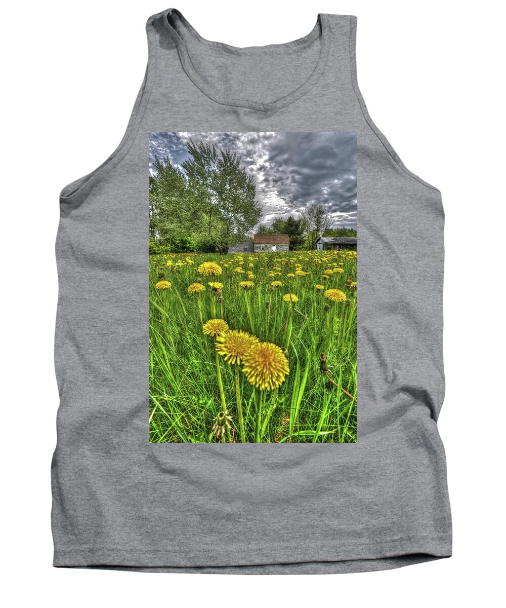 Dandelions Tank Top featuring the photograph Dlion Delit by Jeff Cooper