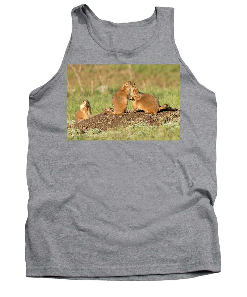 Prairie Dogs Tank Top featuring the photograph Do you HAVE to do that in public by Larry Ricker