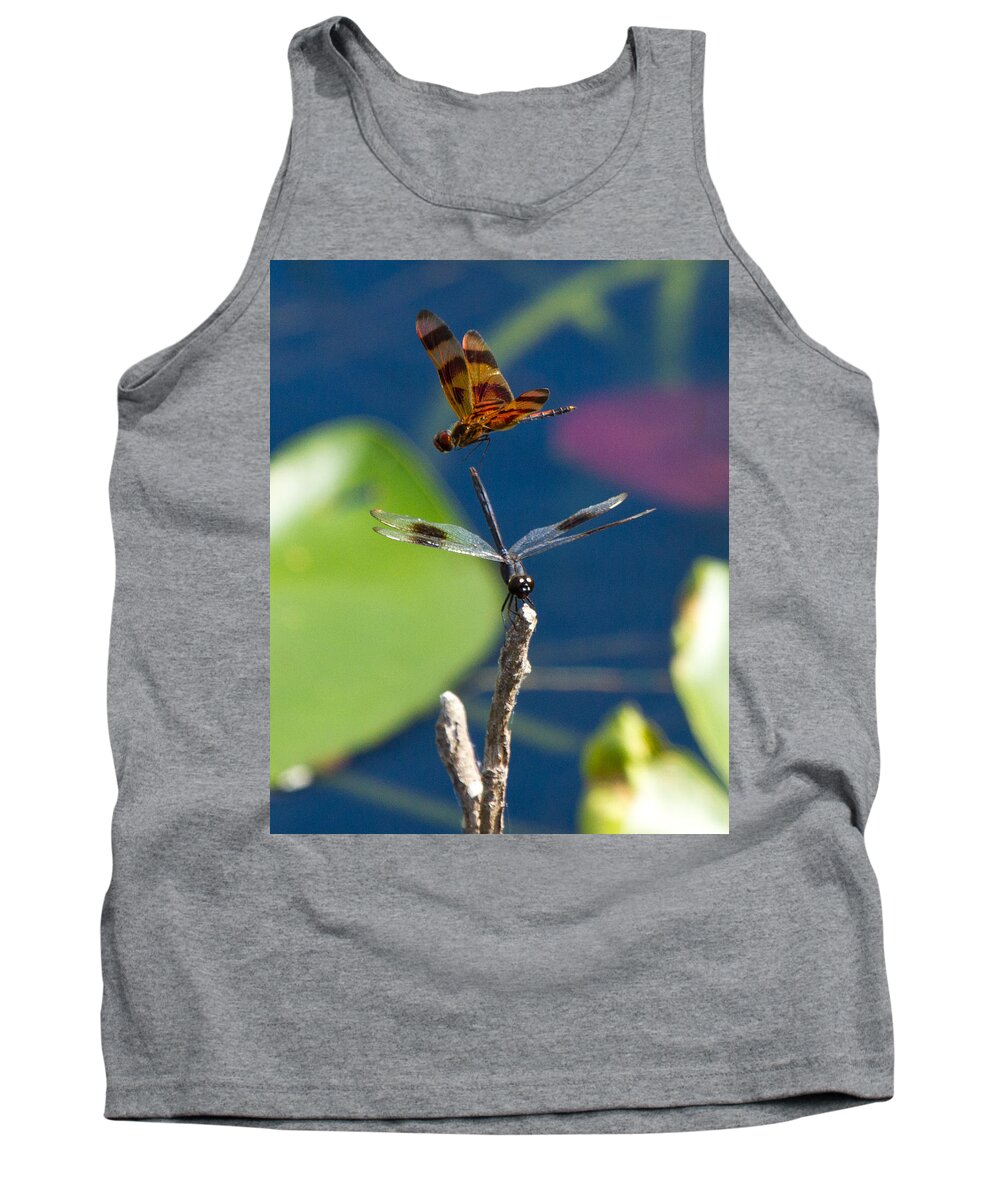 Dragon Fly Tank Top featuring the photograph Dragon Fly 195 by Michael Fryd
