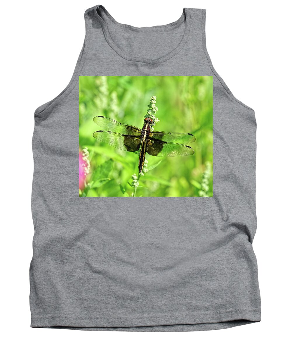 Dragonfly Tank Top featuring the photograph Dragonfly beauty by Ronda Ryan