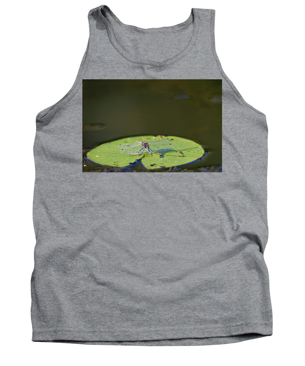 Dragonfly Tank Top featuring the photograph Dragonfly by Benjamin Dahl