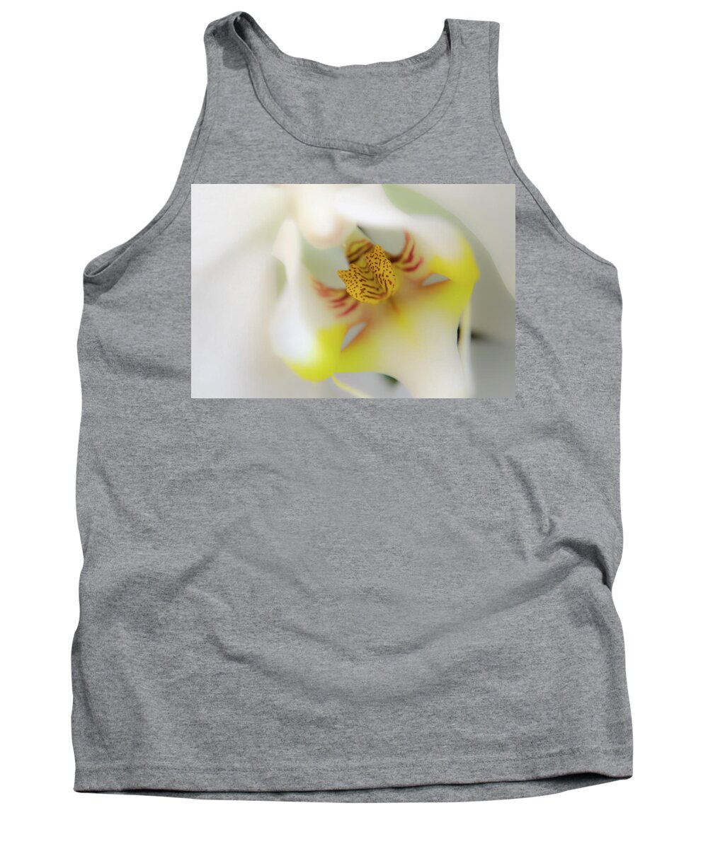 Cleveland Botacinal Gardens Tank Top featuring the photograph Dreams by Stewart Helberg