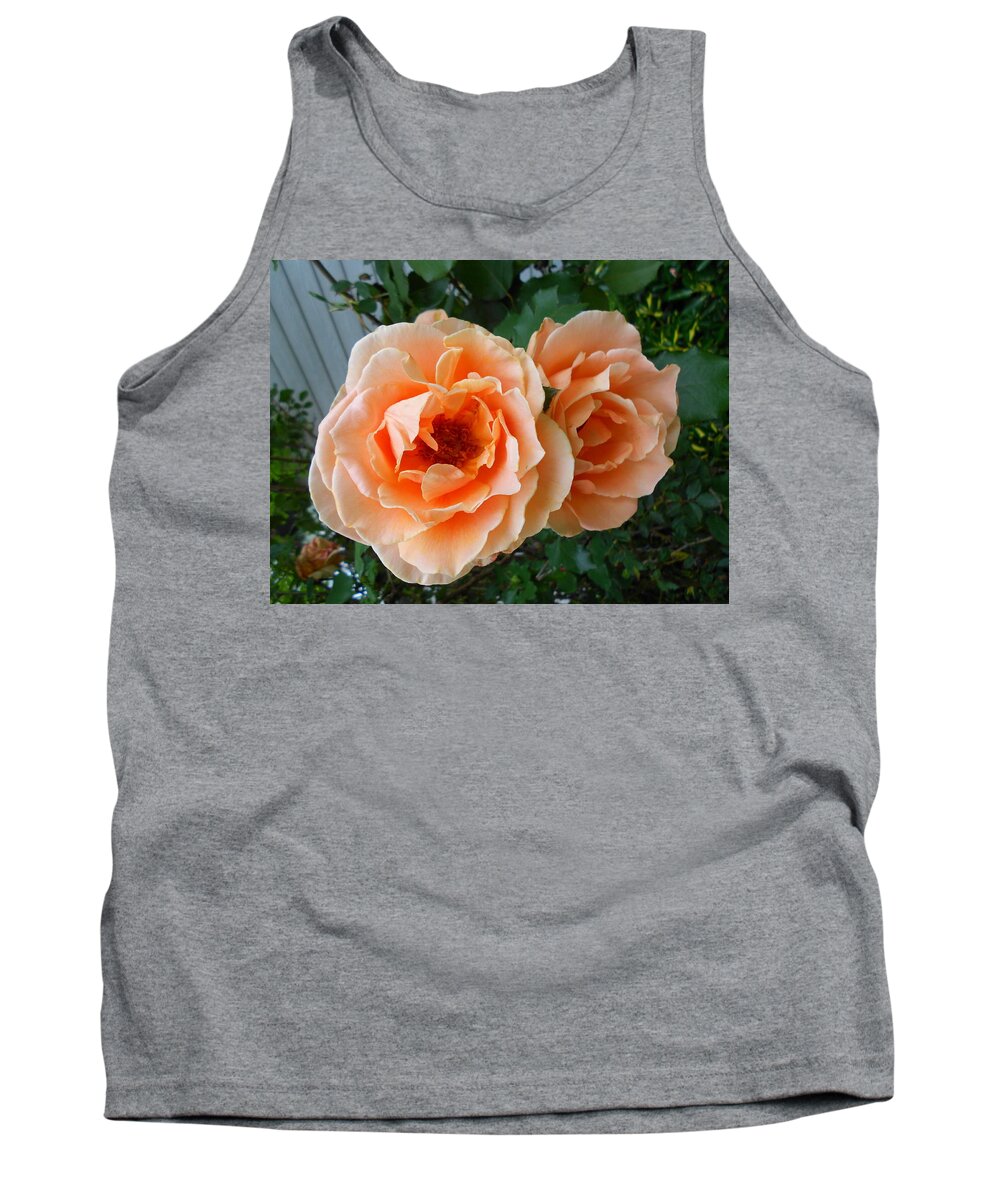 Photograph Tank Top featuring the photograph Dreamsicle Roses by Cynthia Westbrook