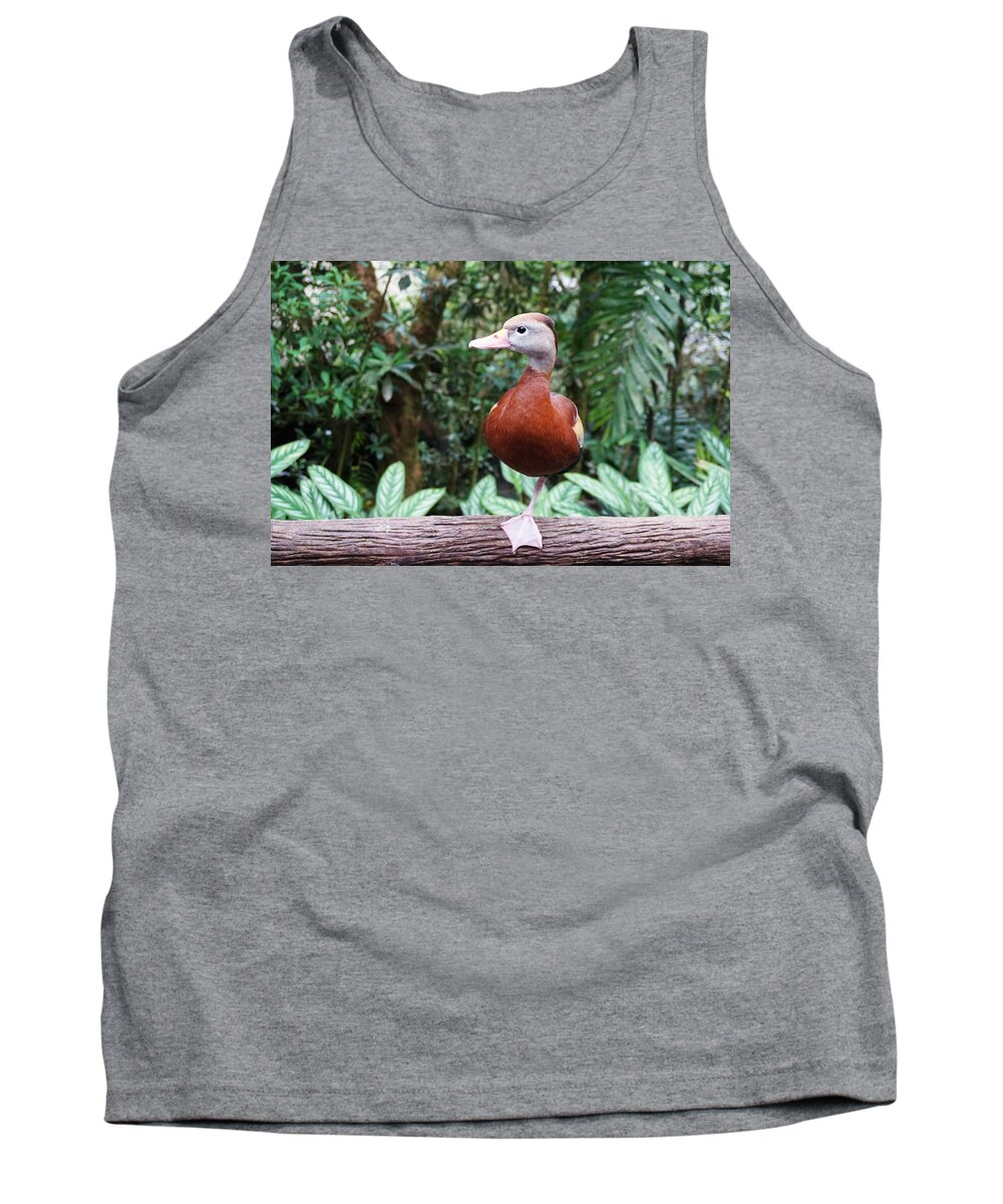 Duck Tank Top featuring the photograph Duckling by Julia Ivanovna Willhite