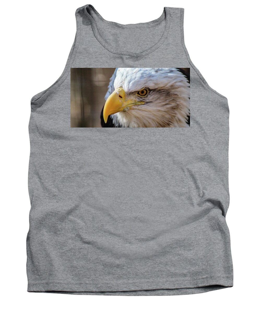 Bald Eagle Tank Top featuring the photograph Eagle Eye by Holly Ross