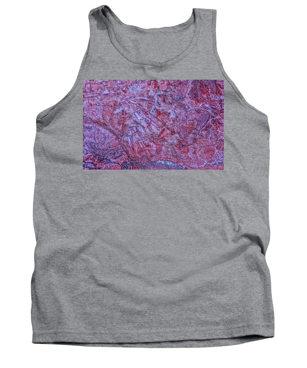 Earth Tank Top featuring the photograph Earth Portrait 257 by David Waldrop