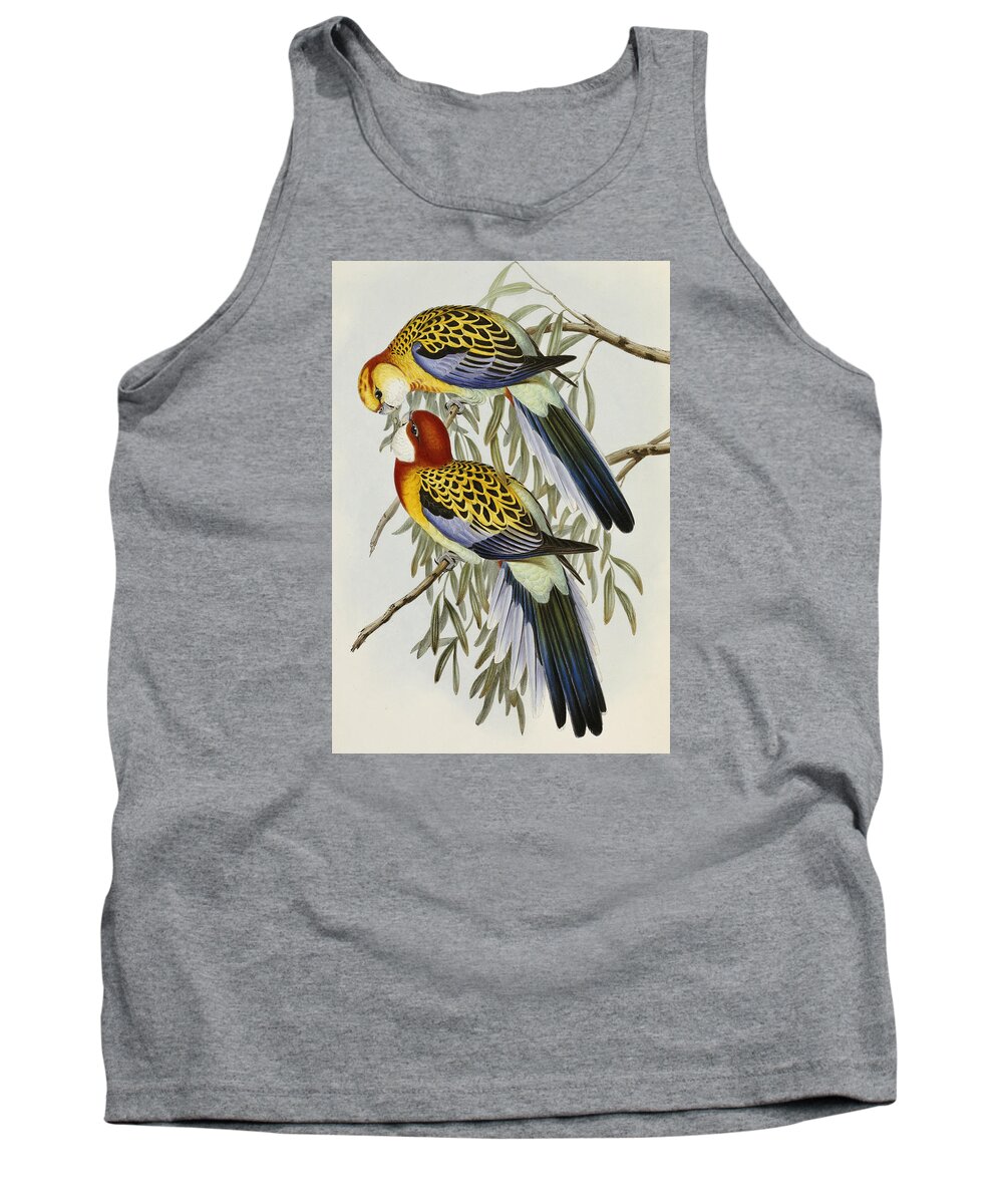Parrot Tank Top featuring the painting Eastern Rosella by John Gould