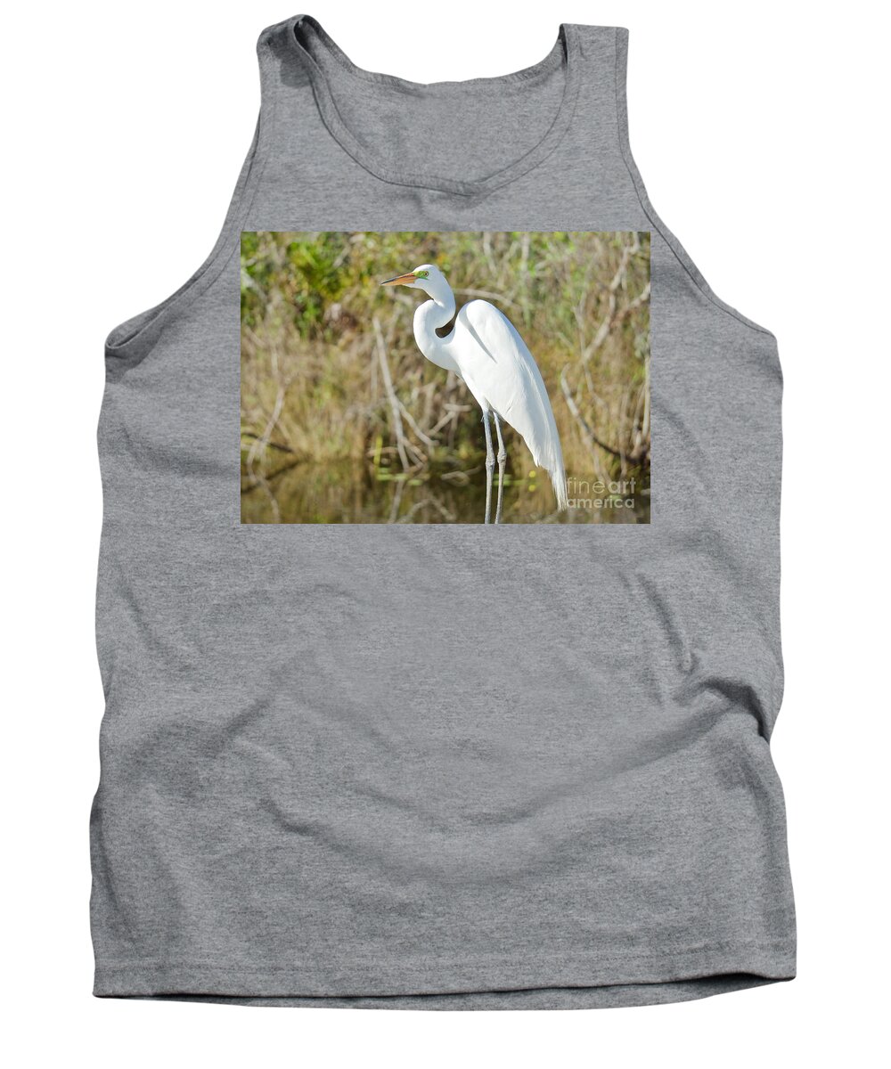 Egrets Tank Top featuring the photograph Egret Posing by Judy Kay