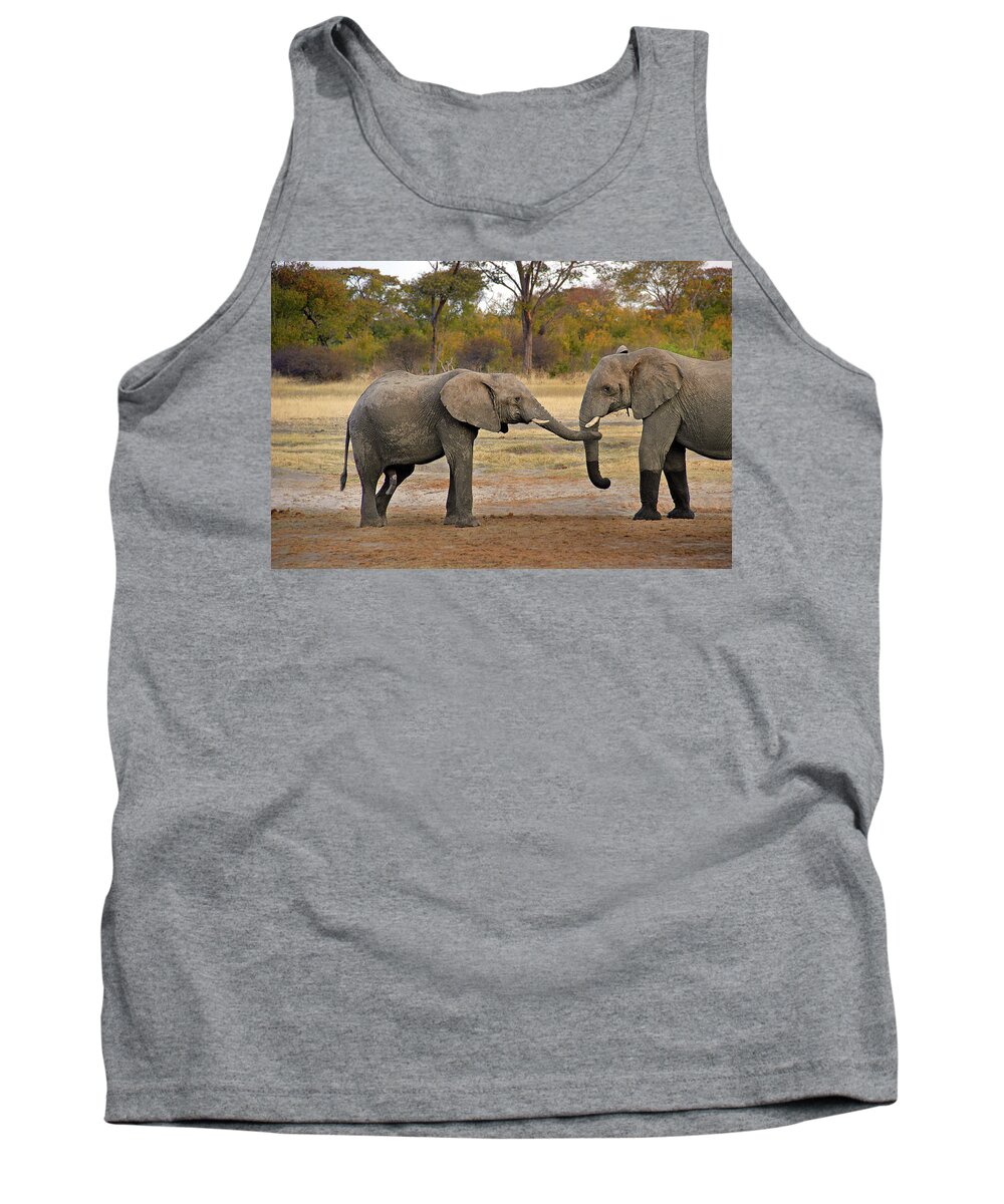 Elephant Tank Top featuring the photograph Elephant Greeting by Ted Keller
