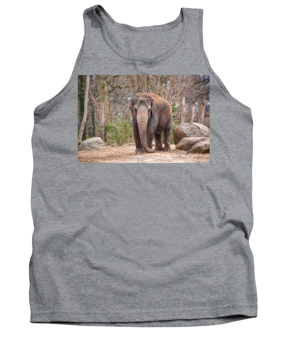 Animal Tank Top featuring the photograph Elephant by Ingrid Dendievel