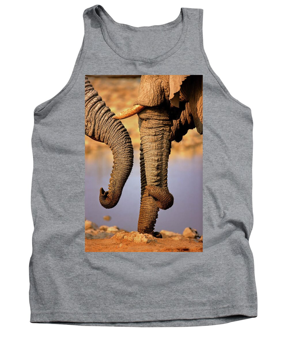 Wild Tank Top featuring the photograph Elephant trunks interacting close-up by Johan Swanepoel