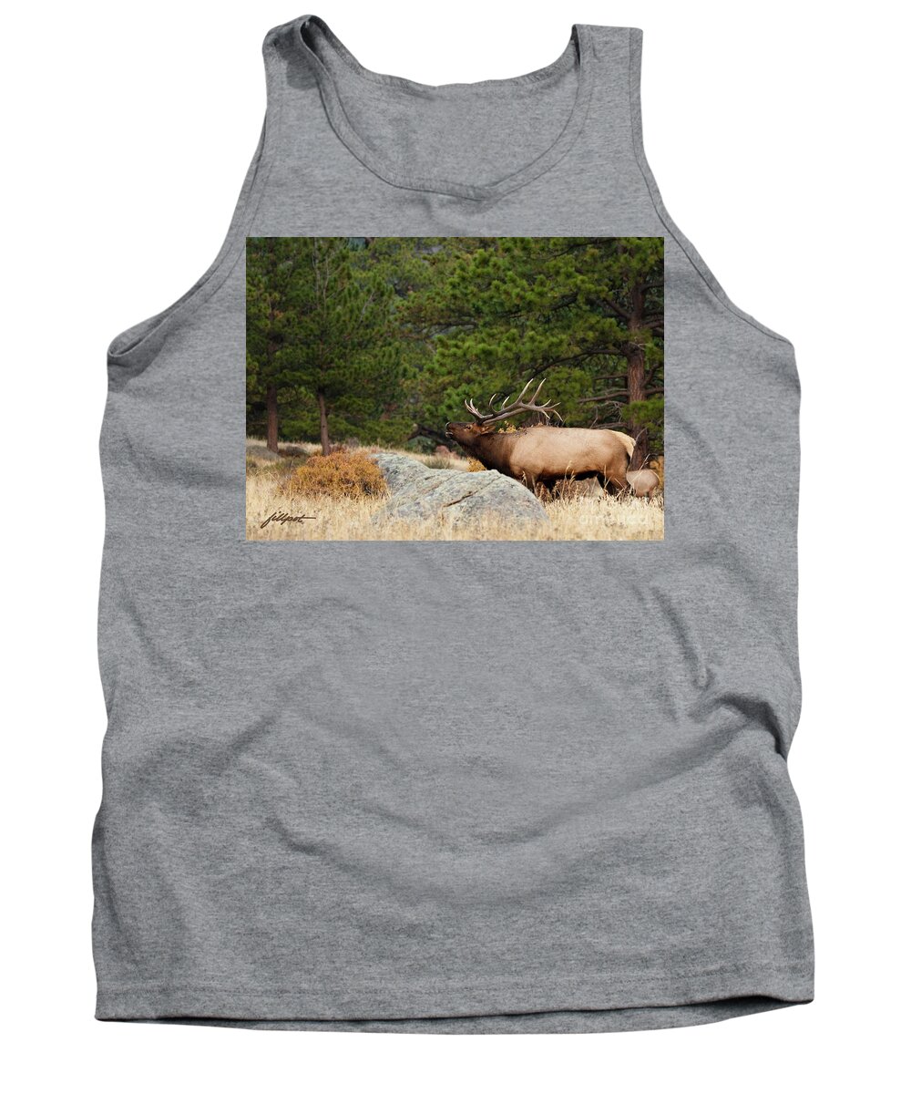 Rocky Mountain National Park Tank Top featuring the photograph Evening Song by Bon and Jim Fillpot