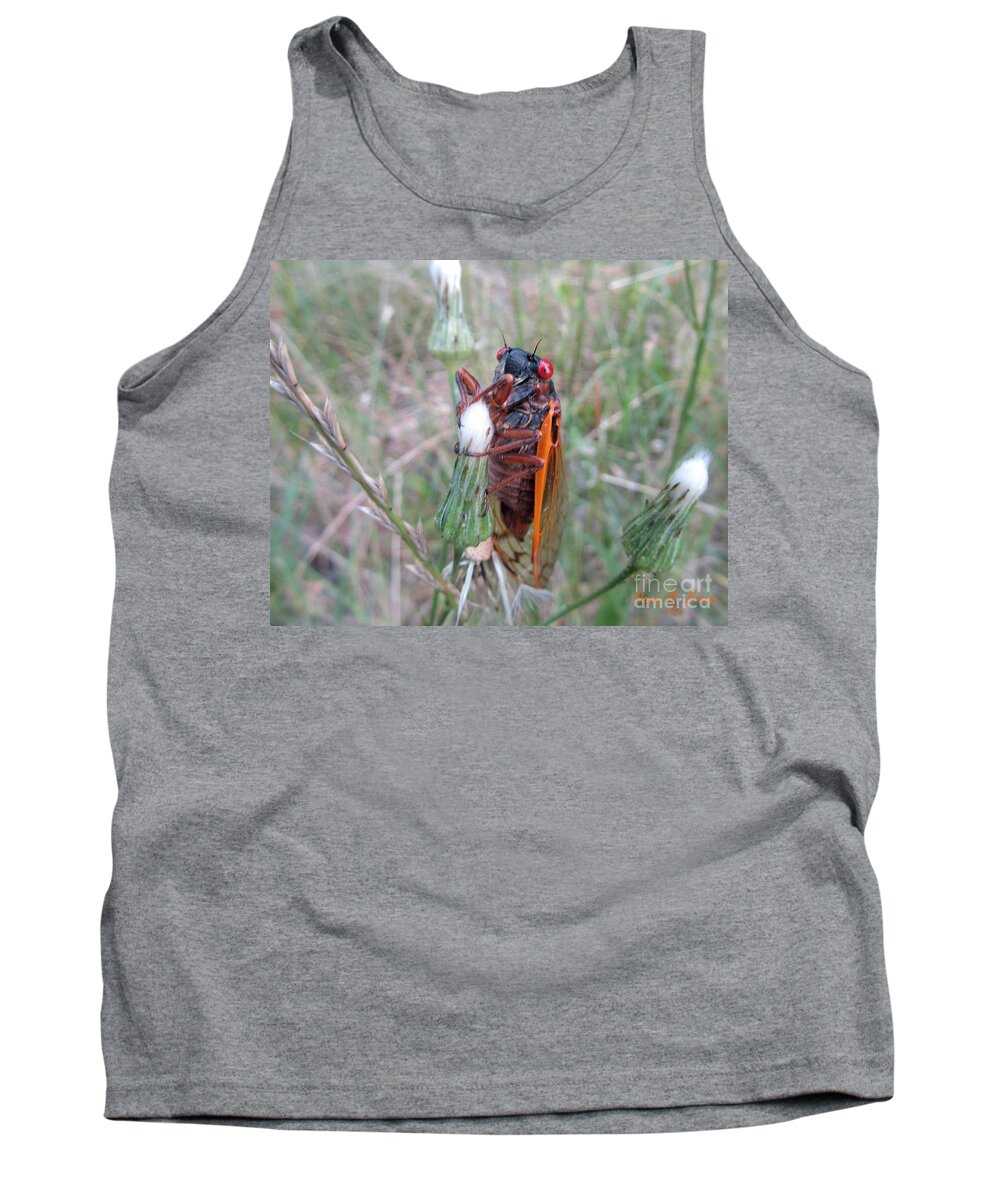 Insect Tank Top featuring the photograph Every Thirteen Years by Donna Brown