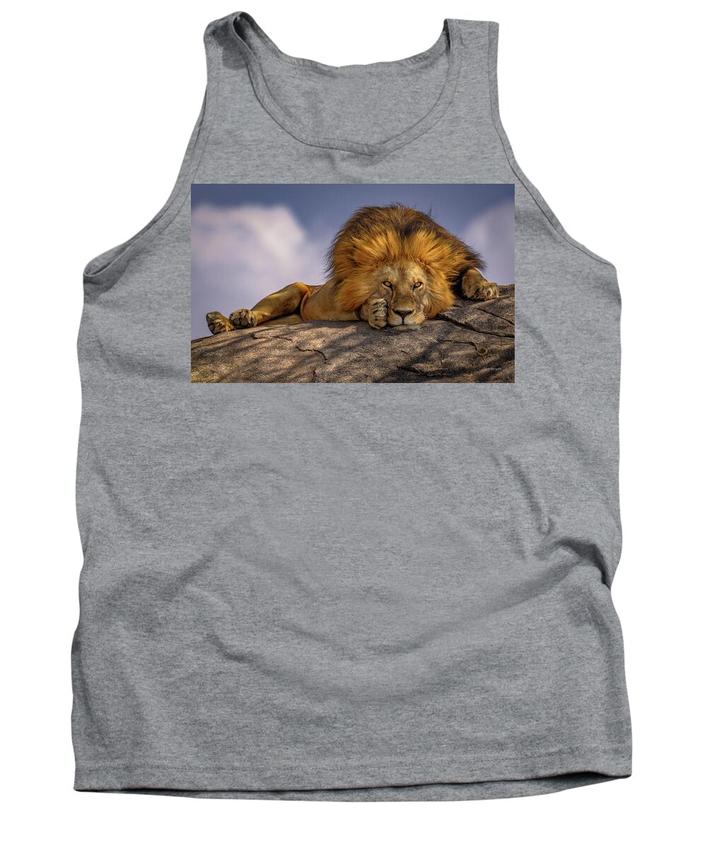 Lion Tank Top featuring the photograph Eye Contact on the Serengeti by Tim Bryan
