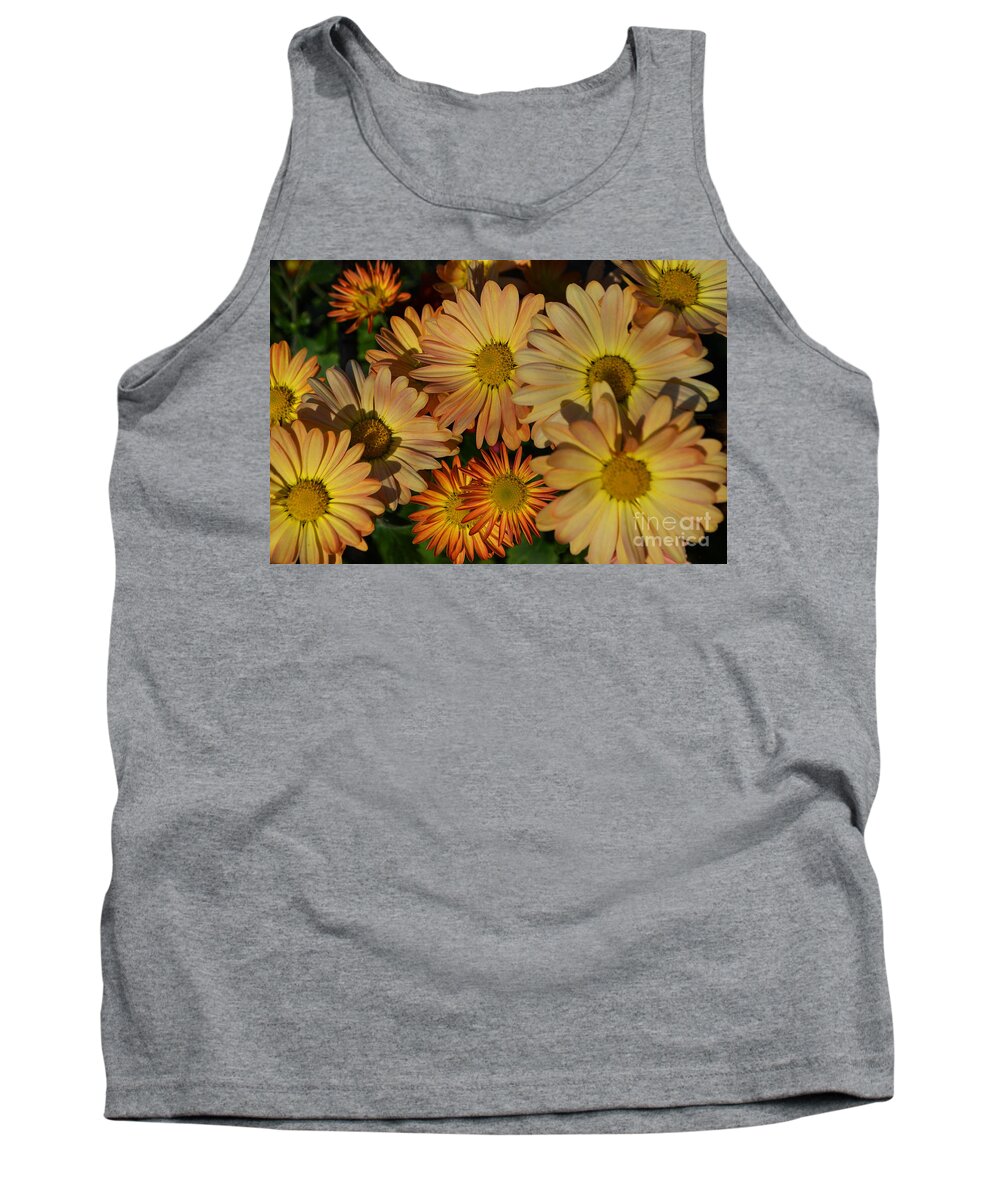 Daisy Tank Top featuring the photograph Fall Flowers in Madison by Amy Lucid