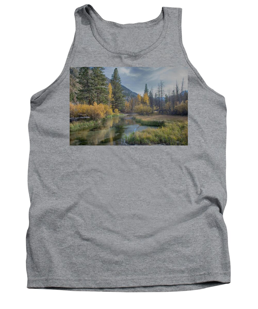 Fall Tank Top featuring the photograph Fall reflections by Patricia Dennis