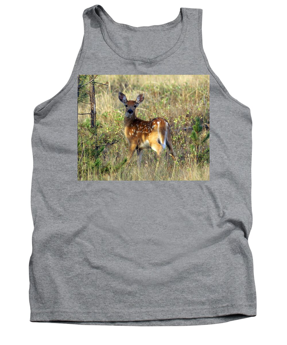 Deer Tank Top featuring the photograph Fawn by Marty Koch