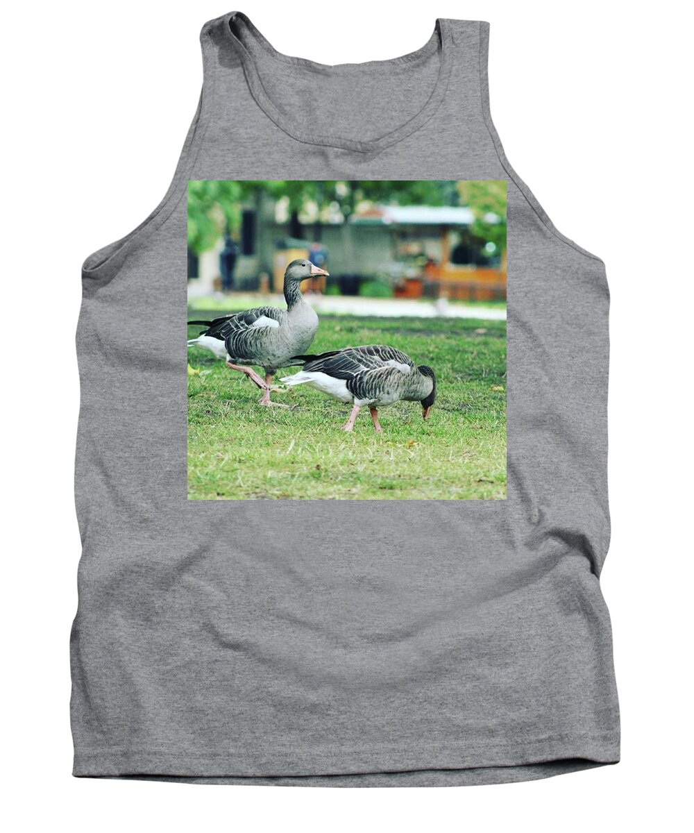 Geese Tank Top featuring the photograph Feb 1 32/365 A Not That Old Pic From by Jens Ideler