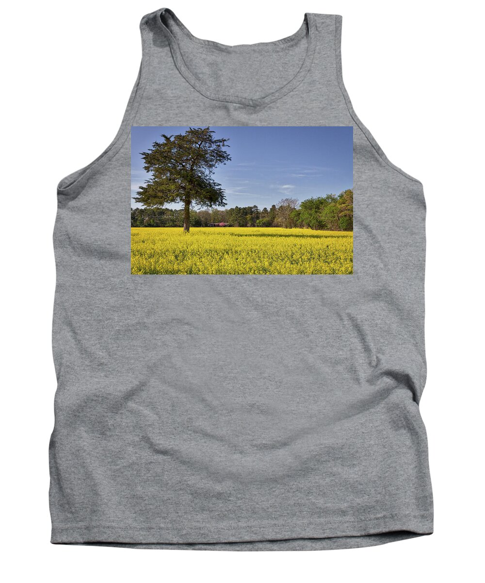 Canola Tank Top featuring the photograph Field of Canola Flowers by Stuart Litoff