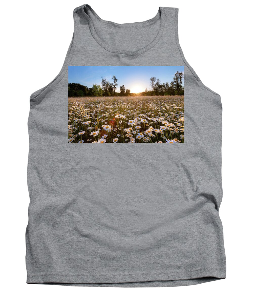 Daisy Tank Top featuring the photograph Field of Daisies by Andrew Kumler