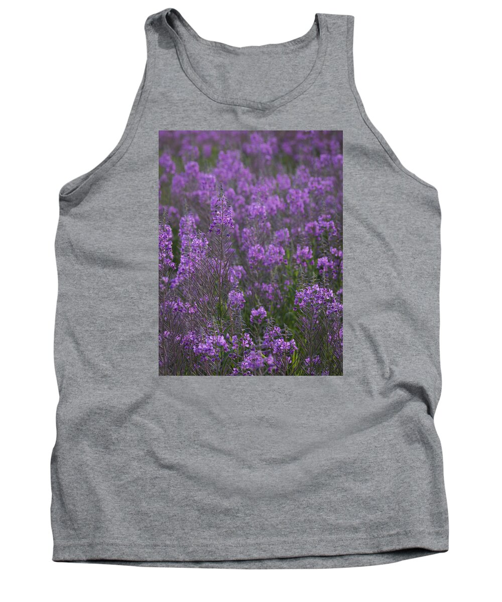 Alaska Tank Top featuring the photograph Field of Fireweed by Ian Johnson