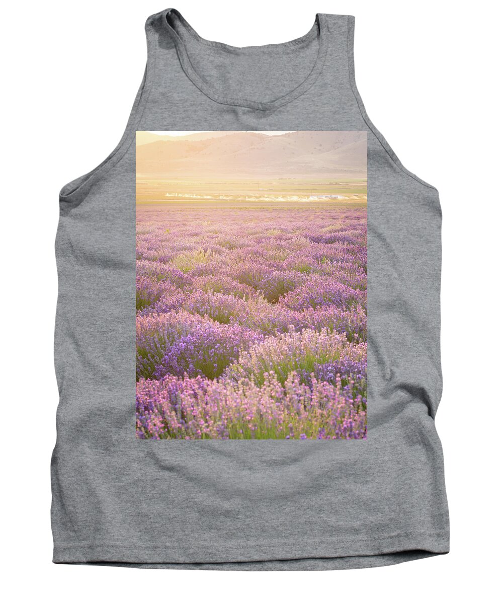 Lavender Tank Top featuring the photograph Fields of Lavender by Emily Dickey