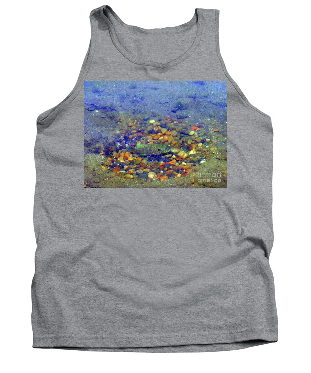 Fish Tank Top featuring the photograph Fish Spawning by Rockin Docks Deluxephotos