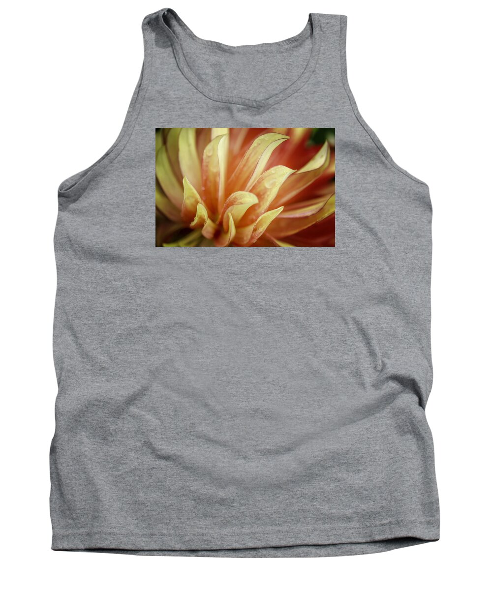 Dahlia Tank Top featuring the photograph Flaming Dahlia by Mary Angelini