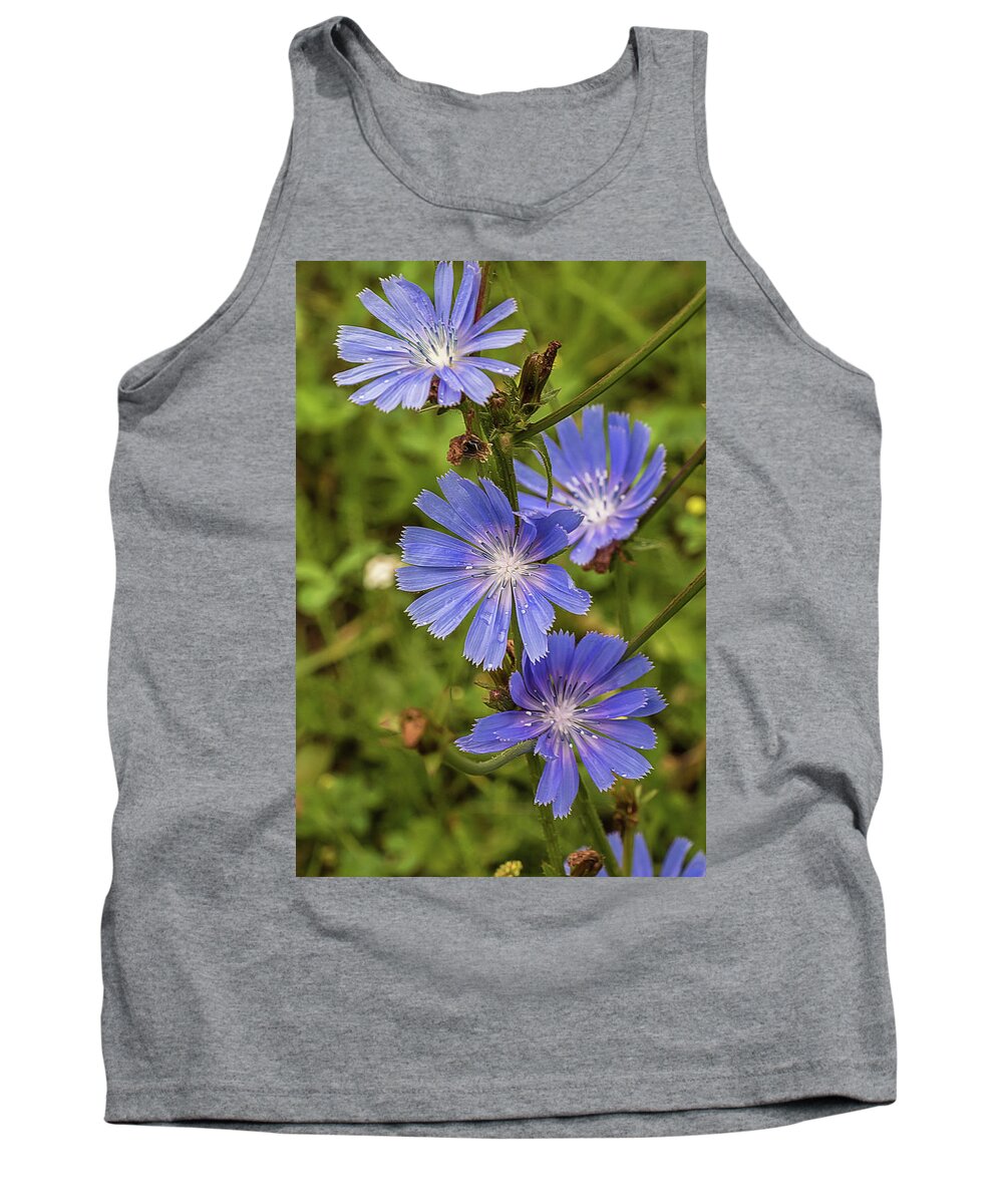 Flower Tank Top featuring the photograph Flower chicory by Alex Konakov