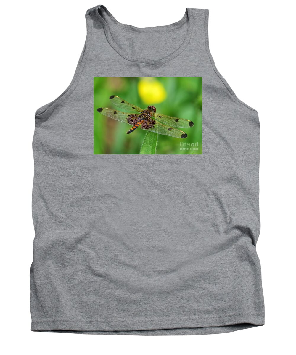 Nature Tank Top featuring the photograph Flying Into the Sun by Lili Feinstein
