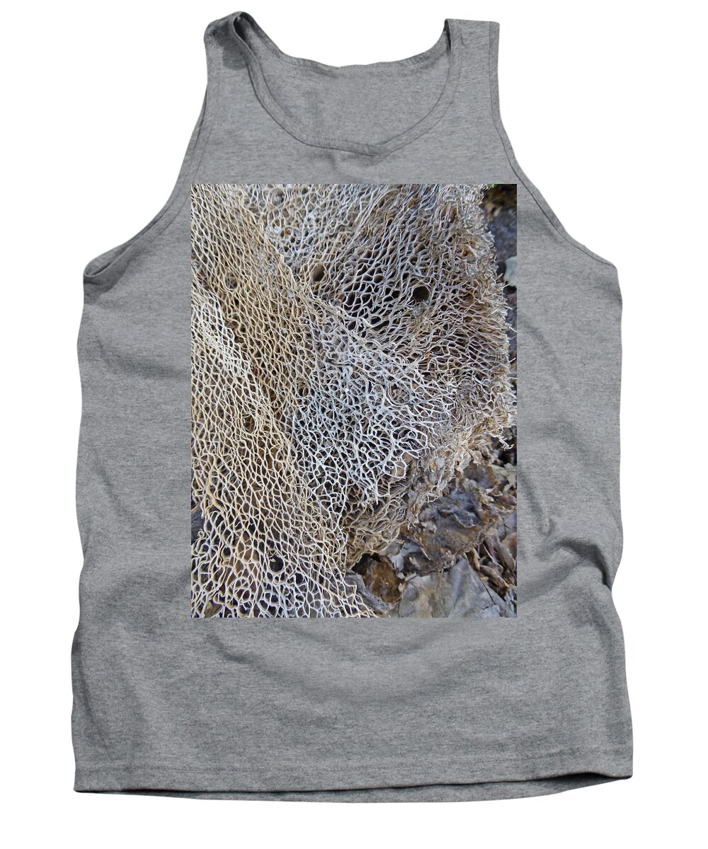 Desert Tank Top featuring the photograph Former Prickly Pear Cactus by Claudia Goodell