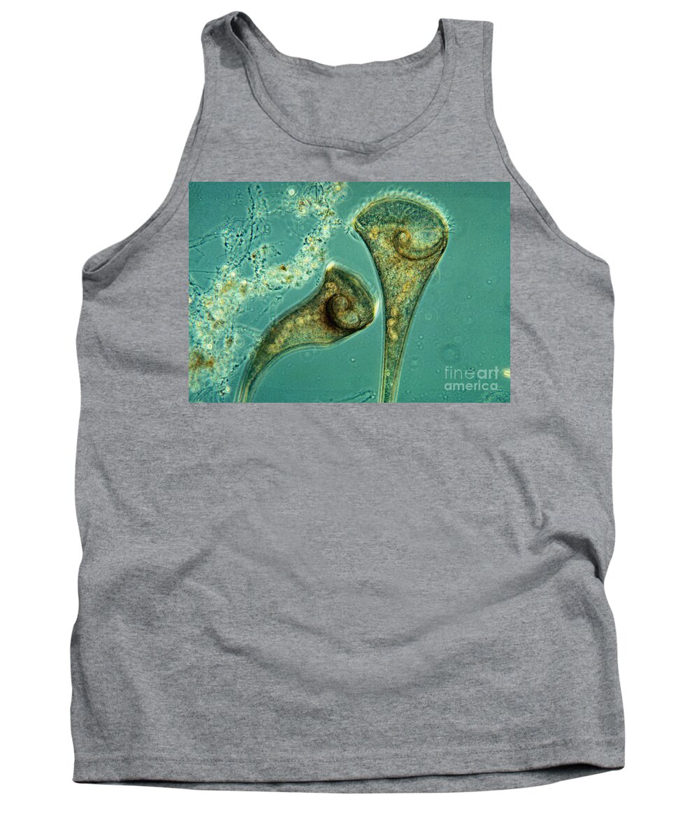 Ciliate Tank Top featuring the photograph Freshwater Ciliate Stentor LM by Greg Antipa