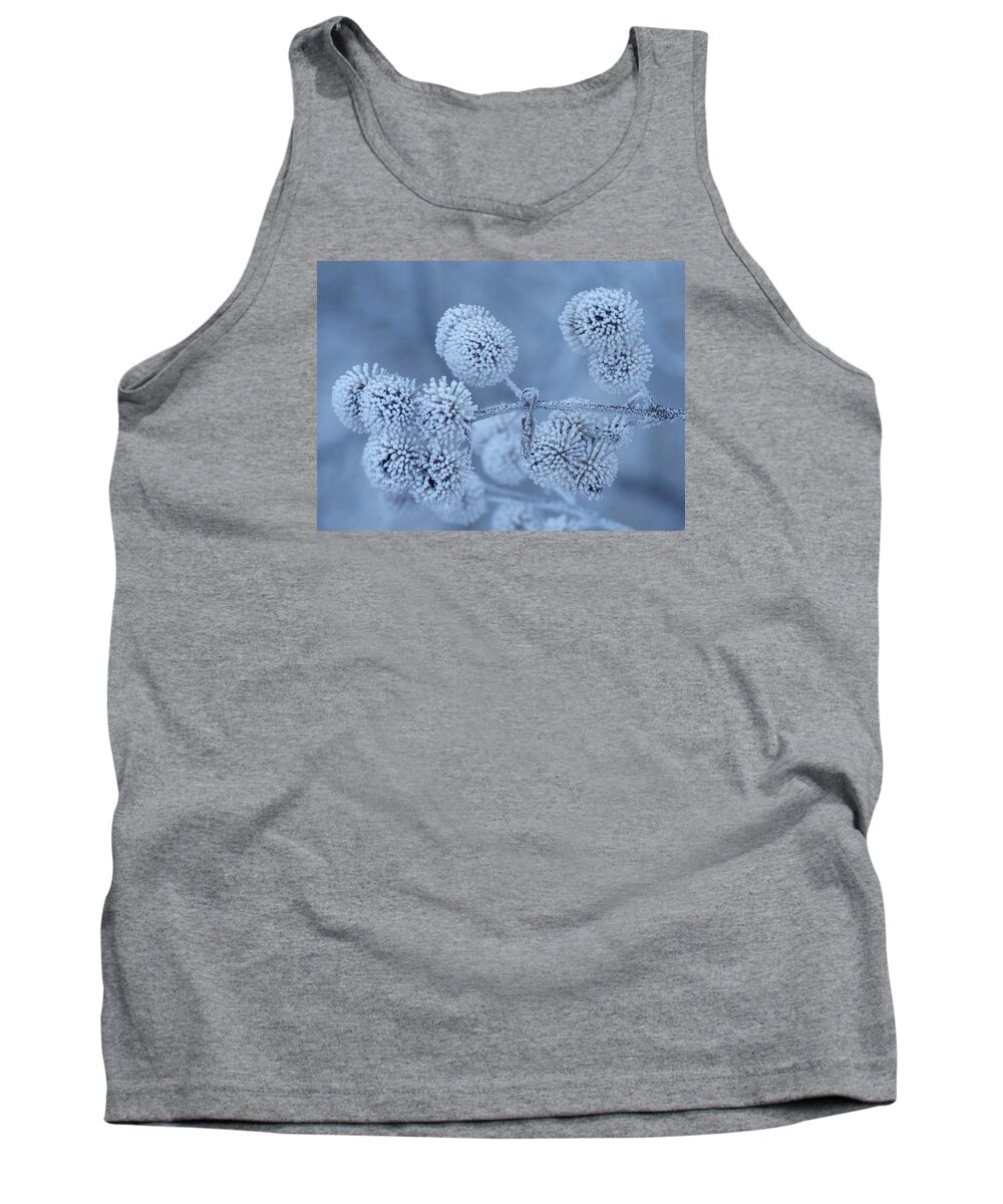 Seeds Tank Top featuring the photograph Frosted Blue Seed Heads by Lori Frisch