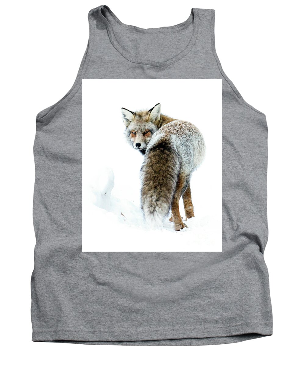 Cross Fox Tank Top featuring the photograph Frosty Fox by Deby Dixon
