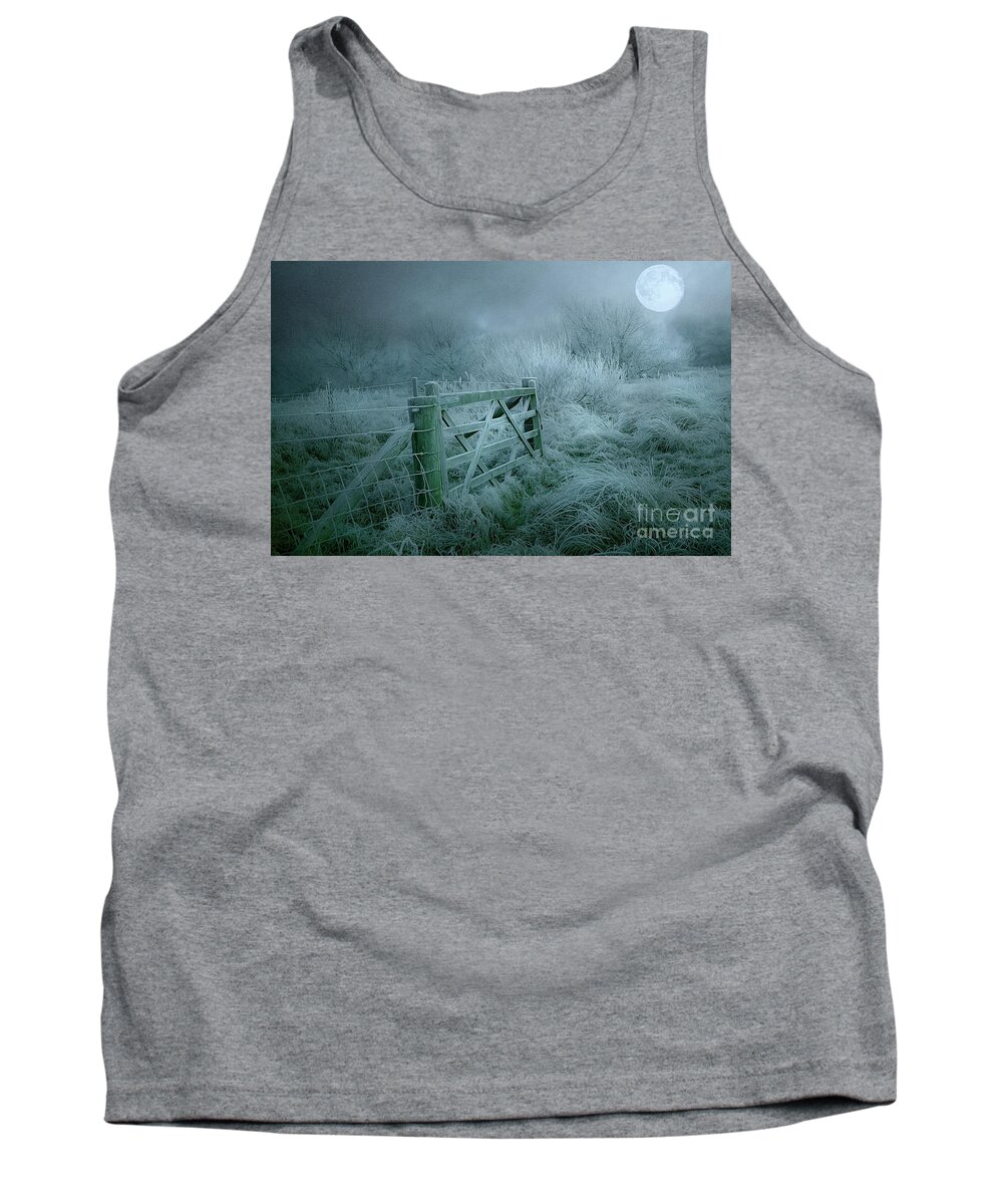 Frost Tank Top featuring the photograph Frosty Night by Brian Tarr