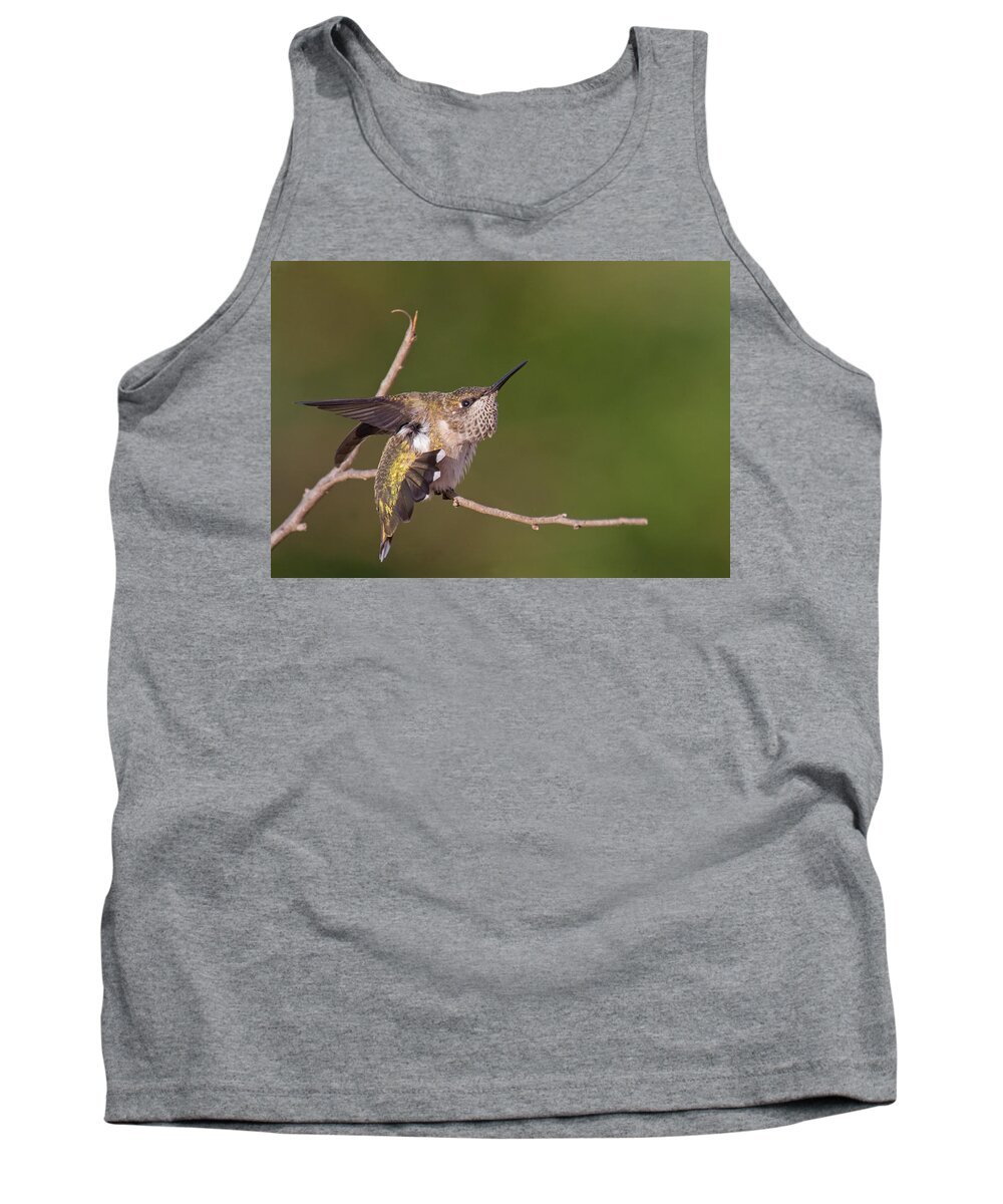 Ruby-throated Hummingbird Tank Top featuring the photograph Getting Ready To Fly by Jim Zablotny