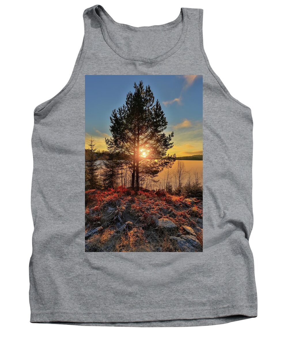 Glorious Daym Nature Tank Top featuring the photograph Glorious Day by Rose-Marie Karlsen