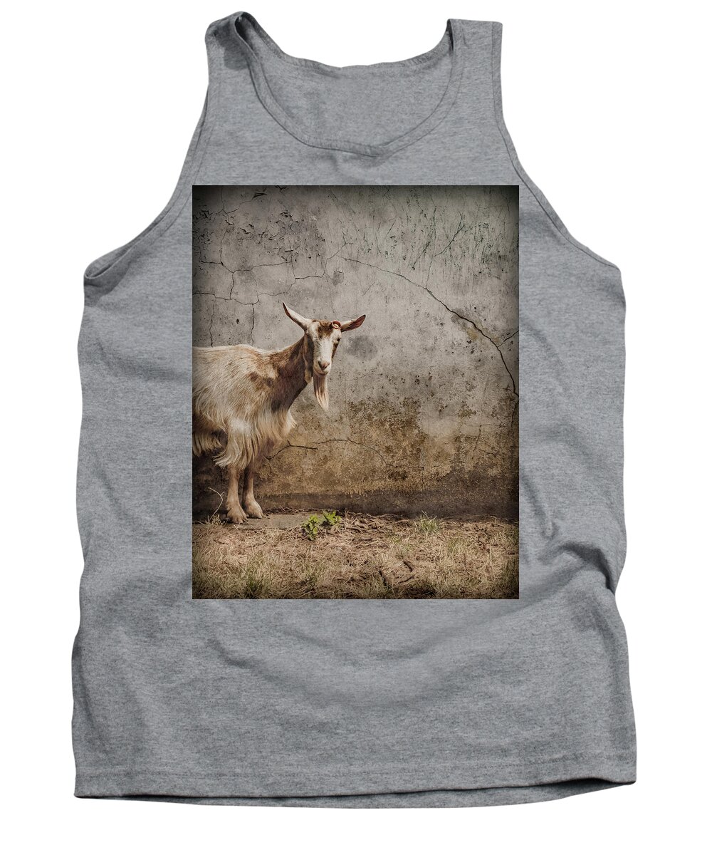 Coram's_fields Tank Top featuring the photograph London, England - Goat by Mark Forte