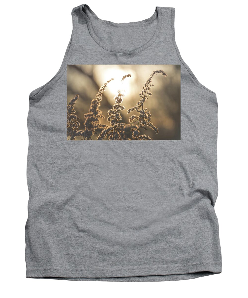 Goldenrod Tank Top featuring the photograph Gold by Terri Hart-Ellis