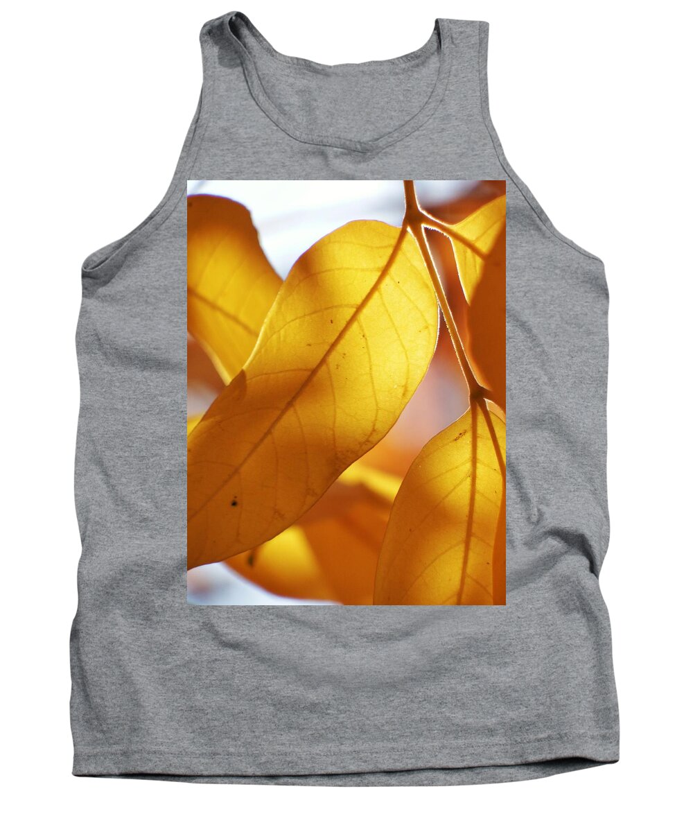 Scoobydrew81 Andrew Rhine Close-up Closeup Nature Botany Botanical Floral Flora Art Color Soft Contrast Simple Clean Crisp Spring Yellow Tree Autumn Fall Season Trees Branch Branches Sun Golden Light Orange Tank Top featuring the photograph Golden Leaves 2 by Andrew Rhine