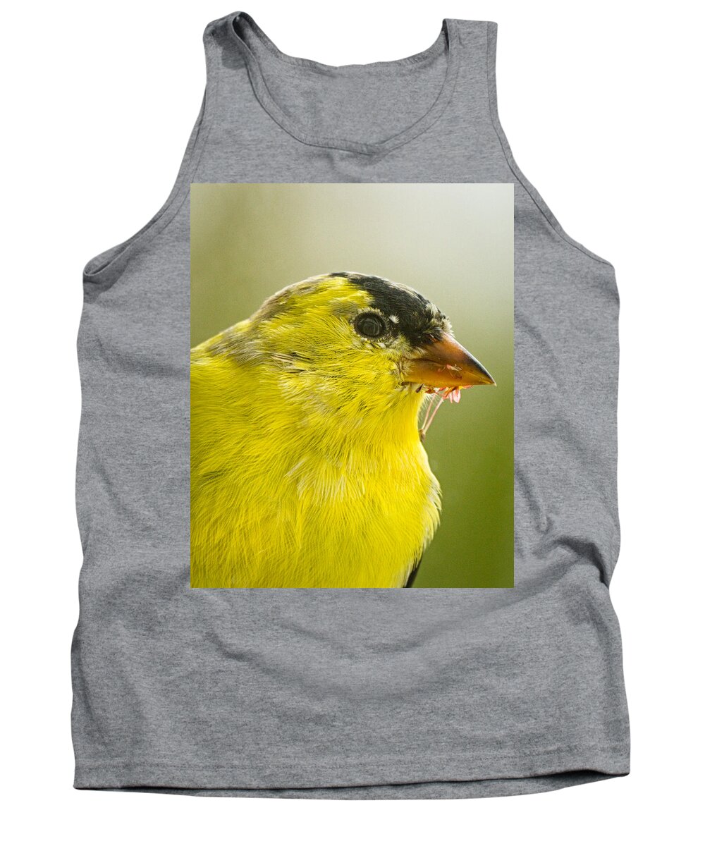 Nature Tank Top featuring the photograph Goldfinch Close-up by Brian Caldwell