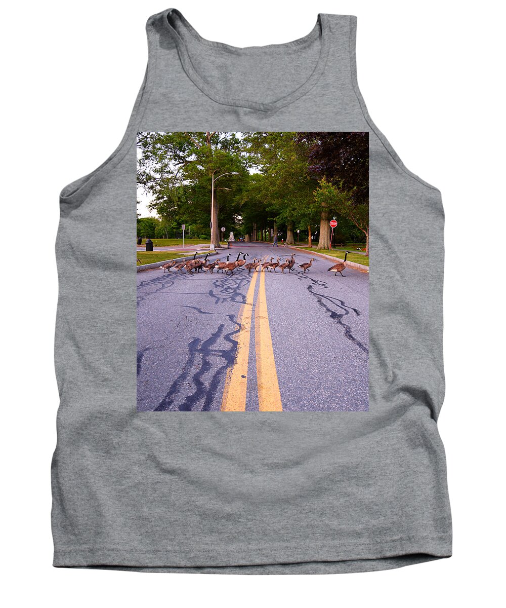 Buttonwood Park Tank Top featuring the photograph Goose Crossing by Kate Arsenault 